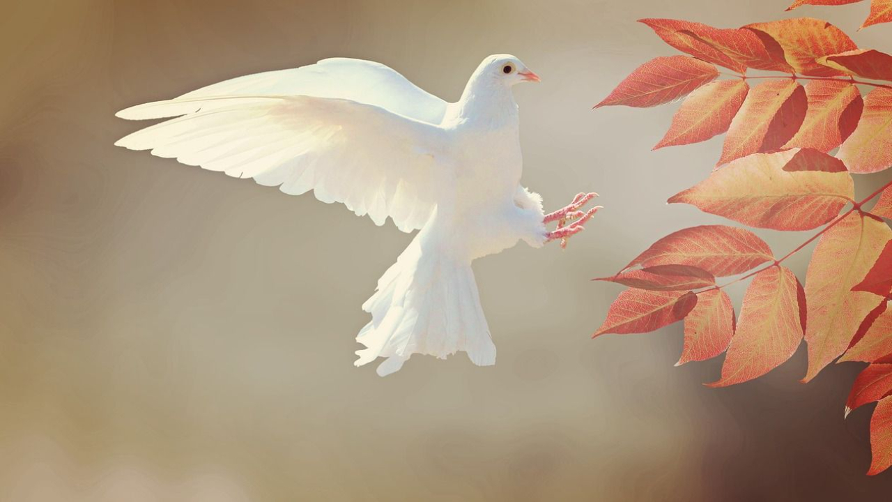 Finding Peace in the Storm: A Christian Approach to Managing Stress — blog post by Sheila Renae Burns at Prayer Power Ministries