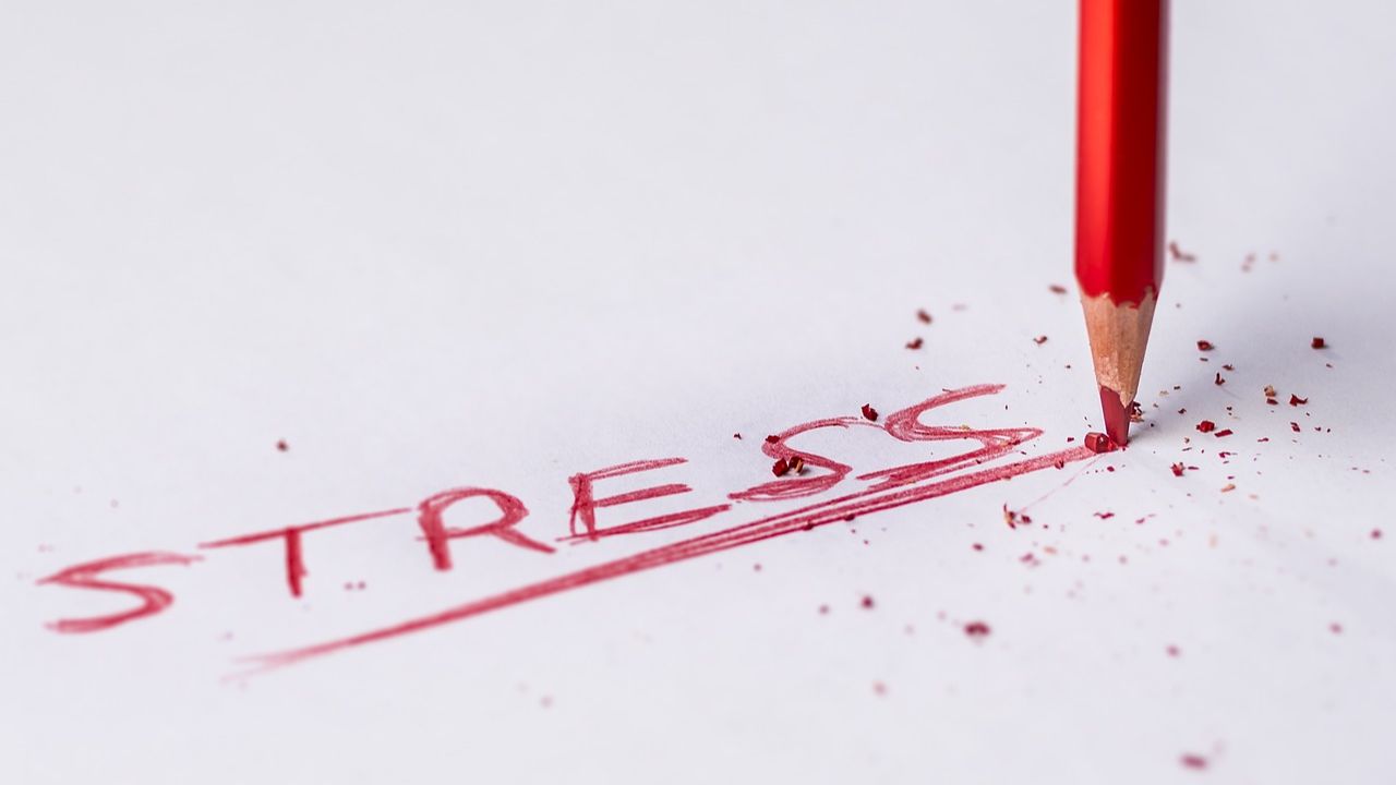 How to Manage Stress: Research-Backed Strategies for a Healthier Life — blog post by Sheila Renae Burns at Prayer Power Ministries