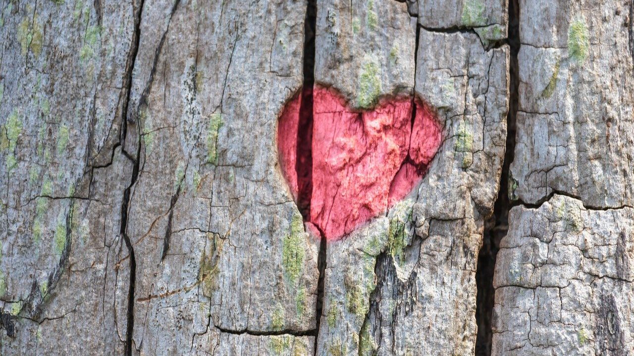 Healing Through the Word: How Scripture Supports Emotional Restoration — blog post by Sheila Renae Burns at Prayer Power Ministries